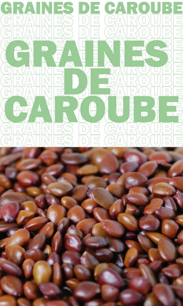 Graines de Caroube