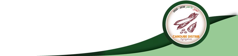 Caroube Distrib
